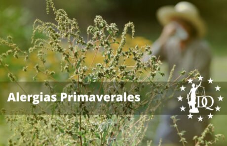 Alergias Primaverales Síntomas y Tratamiento