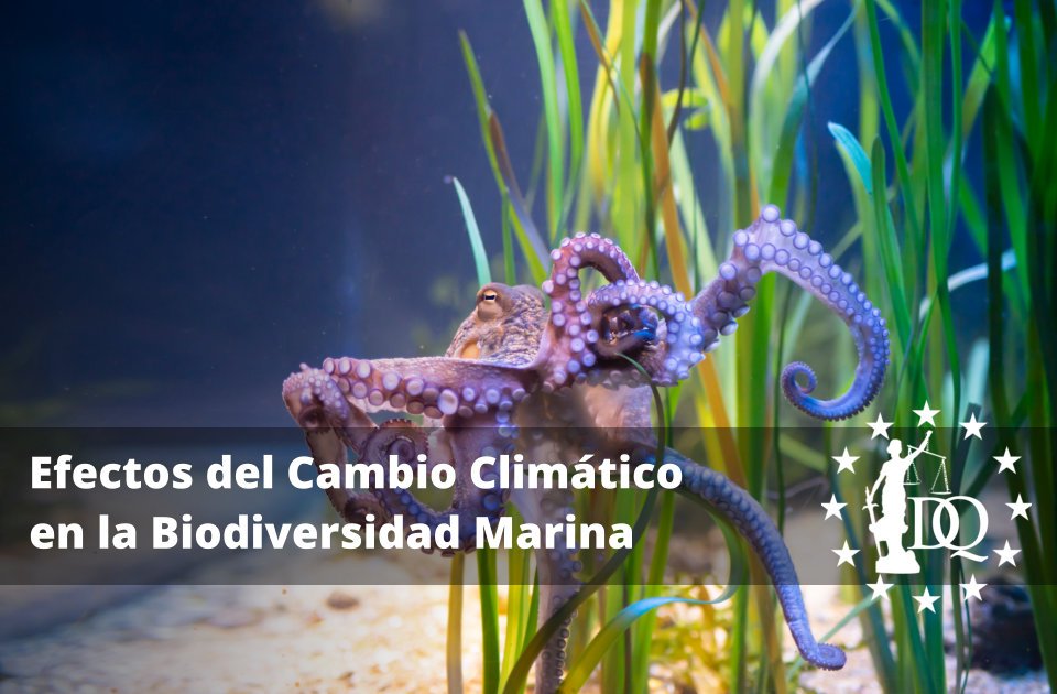 Efectos del Cambio Climático en la Biodiversidad Marina