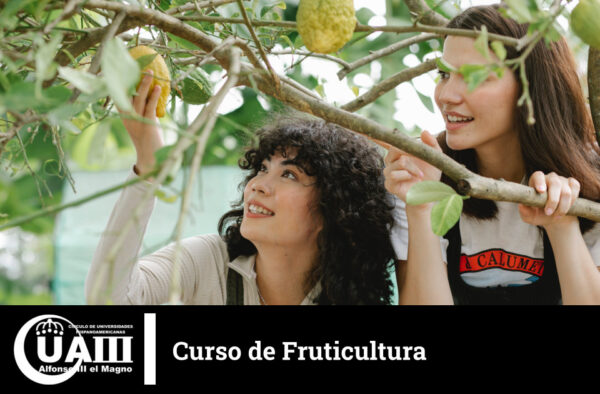 Curso Fruticultura