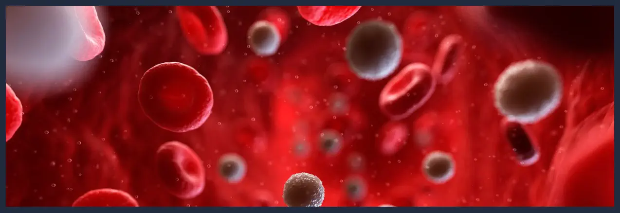 Cuáles son los Valores Normales de HCM - Glóbulos Rojos