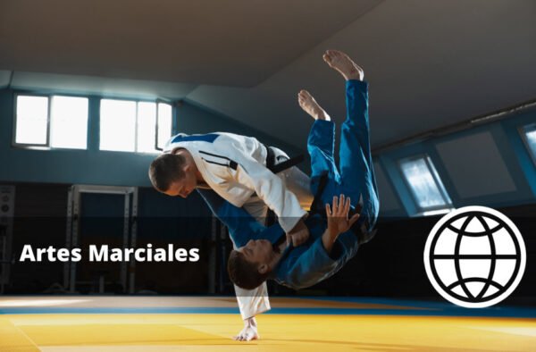 Artes Marciales