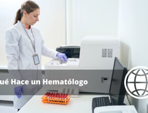 Qué Hace un Hematólogo